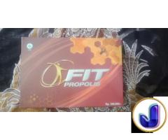 Fit Propolis