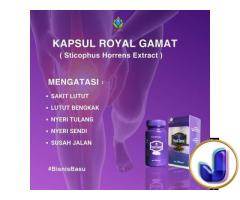 Kapsul Royal Gamat