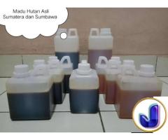 Madu hutan Sumatera
