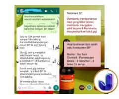 British Propolis Original