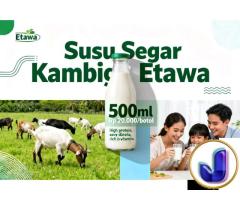 Susu kambing etawa