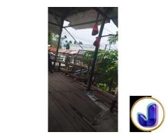 Ayam patong,Abi cell