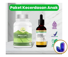 Paket KECERDASAN ANAK