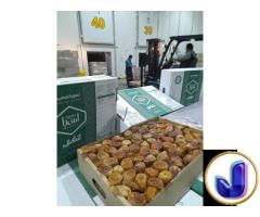 Kurma