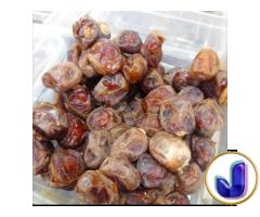 Kurma
