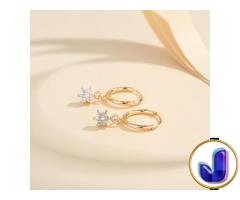 Aksesoris Fashion Anting Wanita Titanium